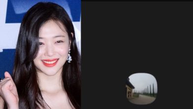 Sulli’s Brother thumbnail