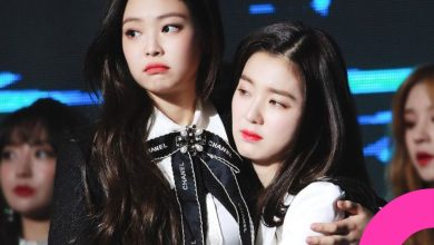 blackpink jennie red velvet-irene-viral-sighting thumbnail