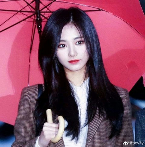 female K-pop idol beauty standardsTzuyu-umbrella-blazer-portrait.